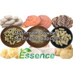 Sparassis Powder Supplier - Crispa Mushroom Extract
