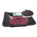 Pink Pitaya Powder Manufacturer - Water Soluble Fruit Juice