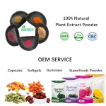 Oyster Mushroom Powder Factory - Pleurotus Ostreatus Extract