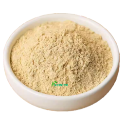 Hericium Extract Powder Manufacturer - 20:1 Mycelium 10% Polysaccharide