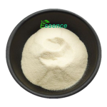 Soapnut Extract Supplier - Sapindus Saponaria Powder