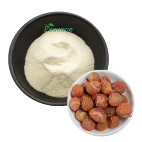 Soapnut Extract Supplier - Sapindus Saponaria Powder