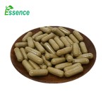 Turkesterone Capsules Factory - Herbal Supplement Ajuga