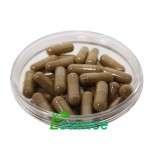 Turkesterone Capsules Manufacturer - Custom Label Strong Man