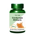 Cordyceps Powder Manufacturer - Militaris Extract Mushroom