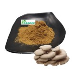Coprinus Powder Supplier - Comatus Mushroom Extract