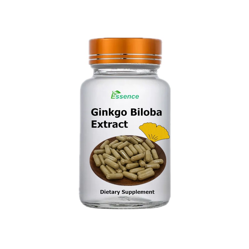 Ginkgo Biloba Powder Manufacturer - Extract Powder Capsules