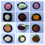 Phycocyanin Powder Manufacturer - Blue Spirulina Extract