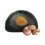 White Fungus Powder Factory - Tremella Mushroom Extract