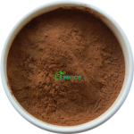 Artemisia Capsules Supplier - Natural Capillary Herbal