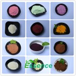 Turkesterone Capsules Factory - Herbal Supplement Ajuga