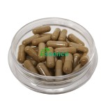 Ajuga Extract Powder Manufacturer - 10% Turkesterone Capsules