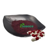Blueberry Powder Supplier - 25% Anthocyanins Fruit Extract