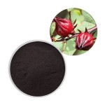 Hibiscus Extract Factory - Anthocyanidins Roselle Powder