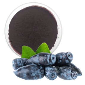 Lonicera Extract Manufacturer - 25%-35% Anthocyanin Powder