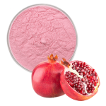 Pomegranate Powder Factory - Fruit Powder Juice Powder Bulk