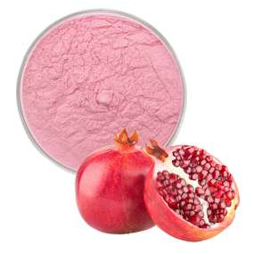 Pomegranate Powder Factory - Fruit Powder Juice Powder Bulk