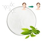 Green Tea Extract Factory - EGCG Powder Food Grade