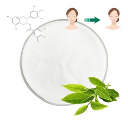 Green Tea Extract Factory - EGCG Powder Food Grade