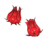 Hibiscus Extract Factory - 1%-25% Anthocyanidin Flower