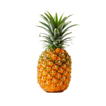 Bromelain Powder Manufacturer - Pineapple Extract Enzyme