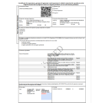 Purple Yam Powder Supplier - Ube Powder Freeze Dried