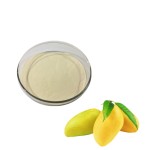 Mango Juice Powder Supplier - Freeze Dried Natural Glass Container