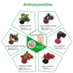 Mulberry Extract Supplier - 5%-25% Anthocyanidin Powder