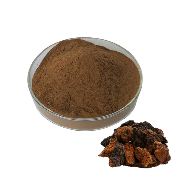 Chaga Mushroom Extract Factory - Fruiting Body Bulk Supply
