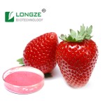 Strawberry Powder Supplier - OEM Wild Food Grade 1kg MOQ
