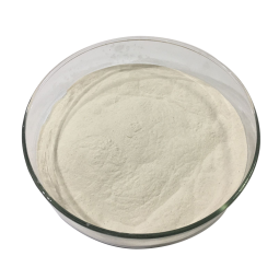 Yeast Extract Factory - 70% 80% 90% Beta Glucan