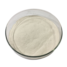 Yeast Extract Factory - 70% 80% 90% Beta Glucan