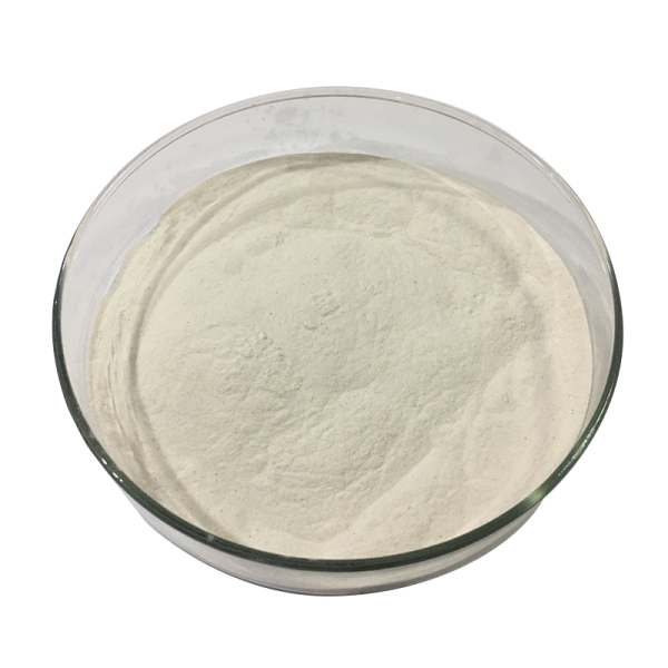 Yeast Extract Factory - 70% 80% 90% Beta Glucan