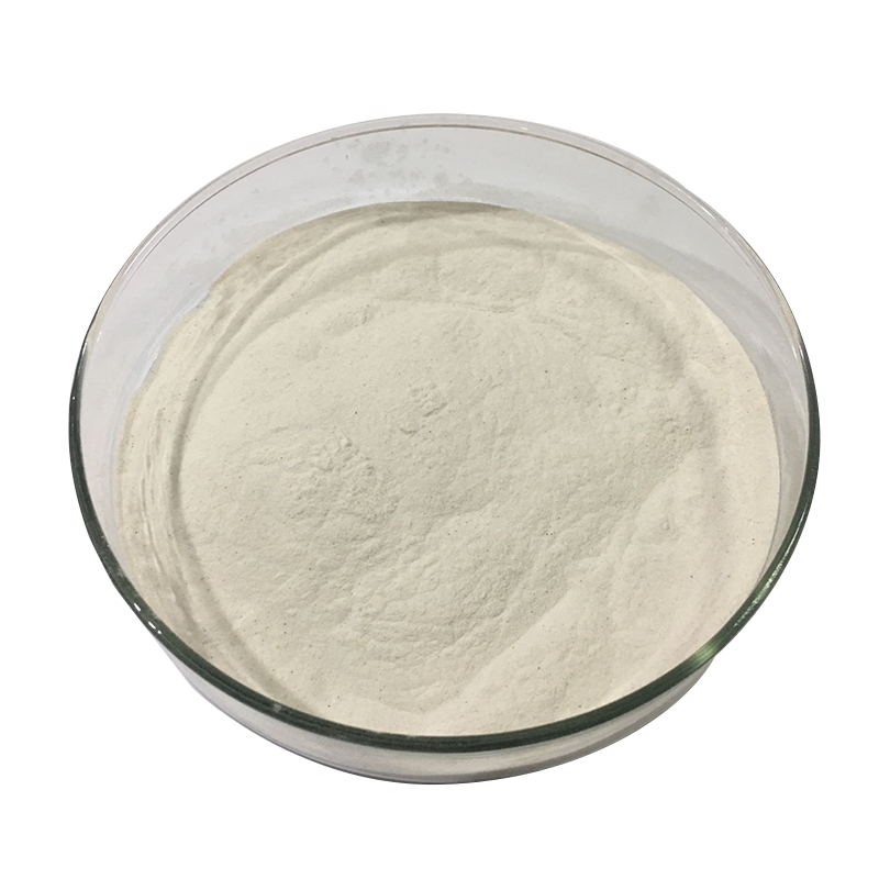 Yeast Extract Factory - 70% 80% 90% Beta Glucan