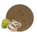Noni Fruit Powder Factory - Water Soluble Organic Raw Material