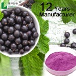 Black Currant Powder Factory - Organic Solvent Extracted Halal