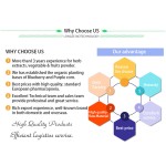 Prune Fruit Powder Supplier - Natural Supplement Dried Fruit