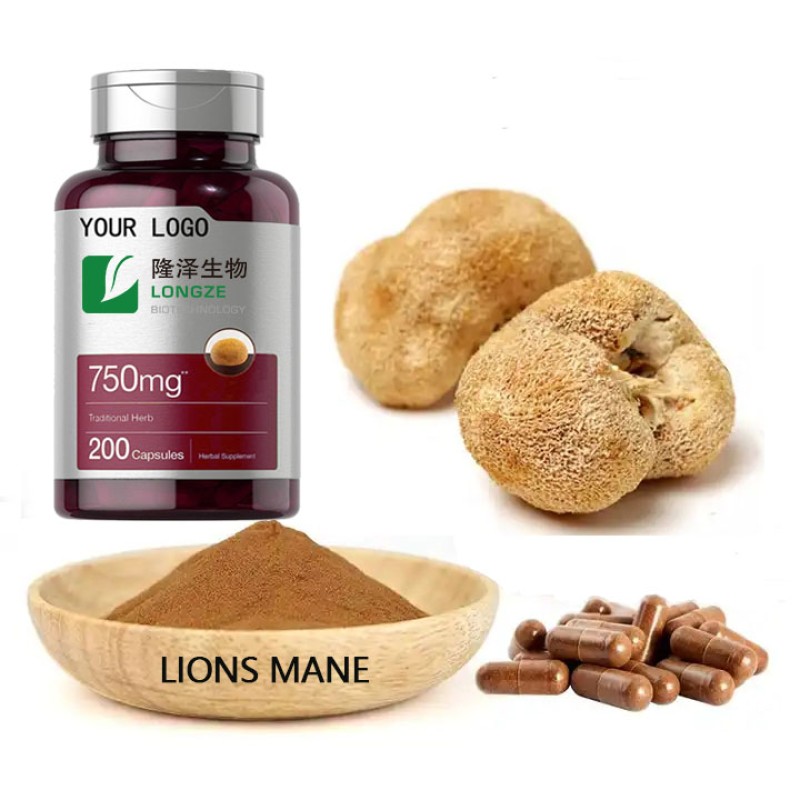 Lions Mane Extract Supplier - Dried Mushroom Capsules Functional