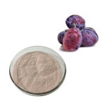 Prune Fruit Powder Supplier - Natural Supplement Dried Fruit