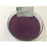 Black Currant Powder Factory - Organic Solvent Extracted Halal