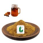 Lions Mane Extract Supplier - Dried Mushroom Capsules Functional