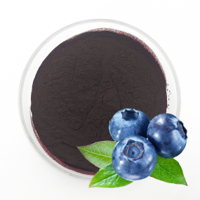 Blueberry Extract Supplier - 5%-40% Anthocyanin Supplement