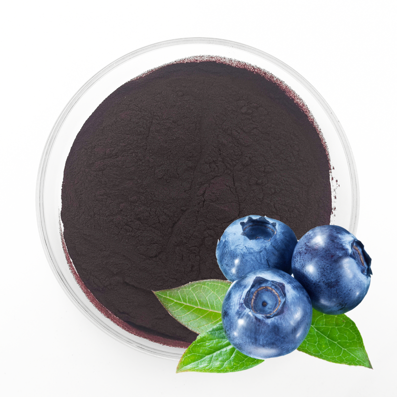 Blueberry Extract Supplier - 5%-40% Anthocyanin Supplement