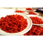 Goji Berry Extract Manufacturer - Red Wolfberry Powder GMP