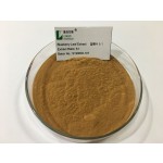 Blueberry Powder Manufacturer - Food Grade Extract Powder Bulk