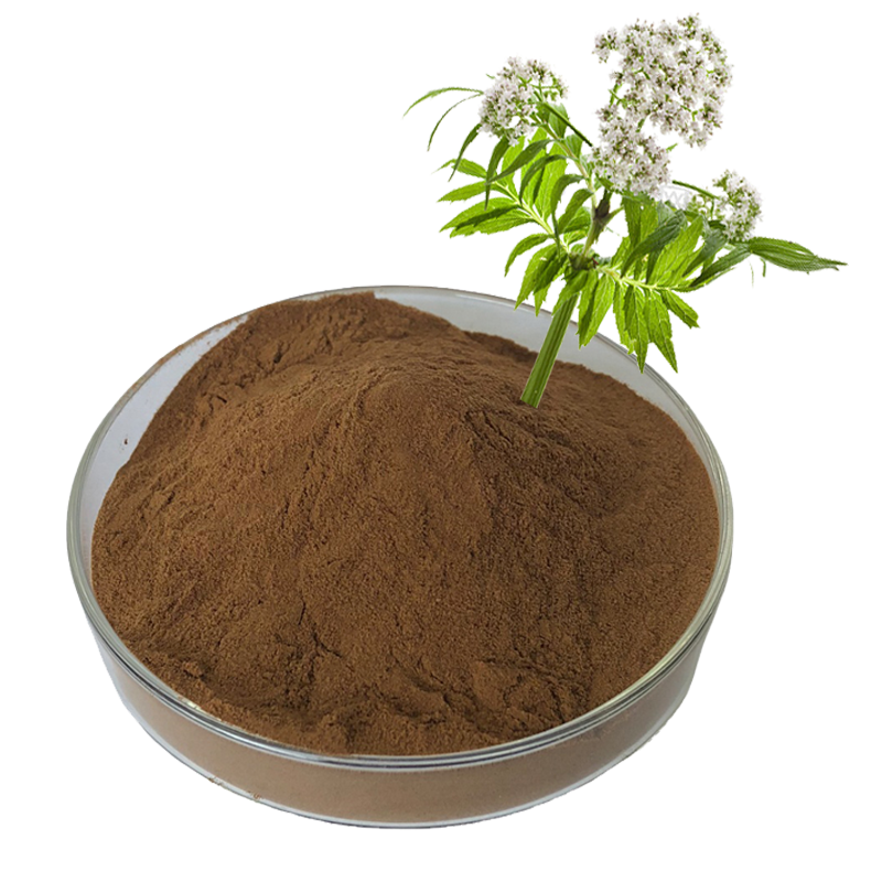 Valerian Extract Supplier - Root Extract 0.5% Valerenic Acid