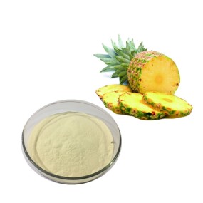Pineapple Extract Manufacturer - Natural Fruit Powder Light
