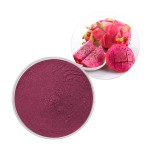 Dragon Fruit Powder Supplier - Water Soluble Pink Pitaya