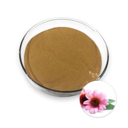 Echinacea Extract Supplier - 4% 10% Polyphenols Flower