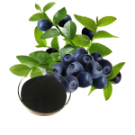 Blueberry Extract Supplier - 25% Anthocyanins Natural Powder